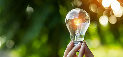 Trophy prize competitions