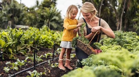 Mother and daughter harvesting vegetables in a garden.
